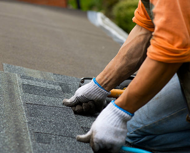 Best Roof Gutter Cleaning  in Beloit, WI